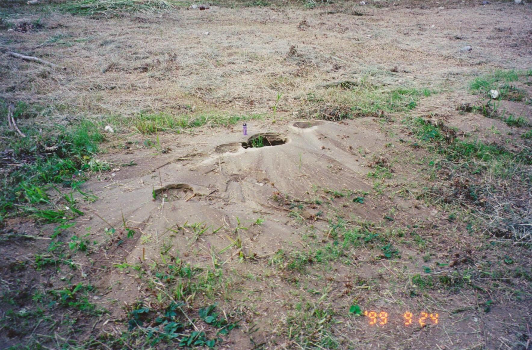 南投縣南投市軍功里綠美橋下貓羅溪河床，地陷、地裂、噴砂，噴砂成錐狀。(根據鄭世楠等, 2012)